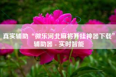 真实辅助“微乐河北麻将开挂神器下载	”辅助器 - 实时智能