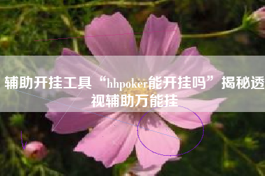 辅助开挂工具“hhpoker能开挂吗”揭秘透视辅助万能挂