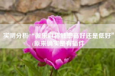 实测分析“微乐麻将胜率高好还是低好”(原来确实是有插件