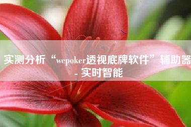 实测分析“wepoker透视底牌软件”辅助器 - 实时智能