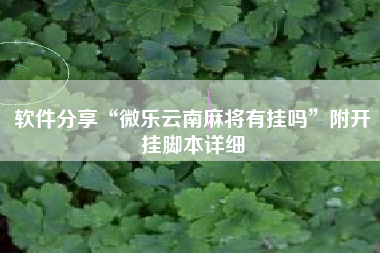 软件分享“微乐云南麻将有挂吗”附开挂脚本详细