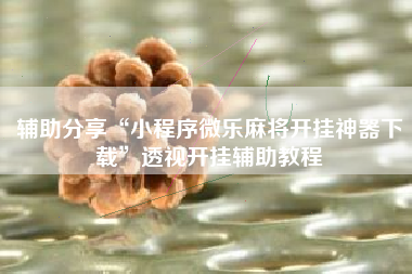 辅助分享“小程序微乐麻将开挂神器下载	”透视开挂辅助教程