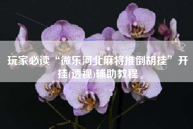 玩家必读“微乐河北麻将推倒胡挂”开挂(透视)辅助教程