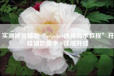 实测神器辅助“wepoker透视脚本教程”开挂辅助脚本+详细开挂