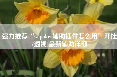 强力推荐“wepoker辅助插件怎么用”开挂(透视)最新辅助详细