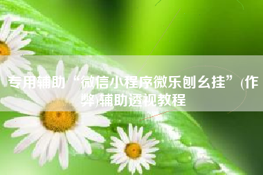 专用辅助“微信小程序微乐刨幺挂	”(作弊)辅助透视教程