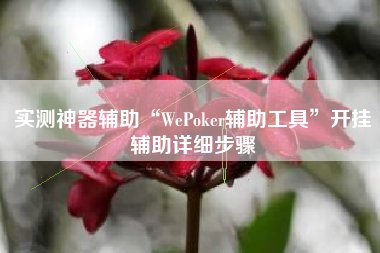 实测神器辅助“WePoker辅助工具	”开挂辅助详细步骤