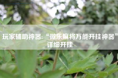 玩家辅助神器:“微乐麻将万能开挂神器”详细开挂