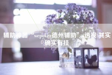 辅助神器“wepoker德州辅助”(透视)其实确实有挂