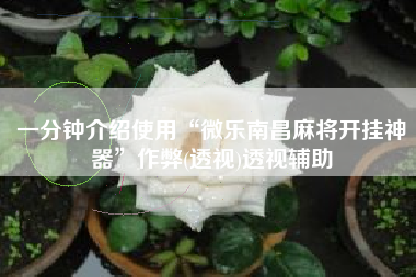 一分钟介绍使用“微乐南昌麻将开挂神器	”作弊(透视)透视辅助