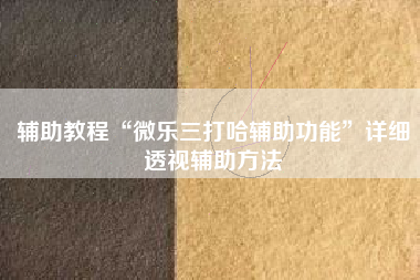 辅助教程“微乐三打哈辅助功能	”详细透视辅助方法