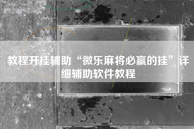 教程开挂辅助“微乐麻将必赢的挂	”详细辅助软件教程