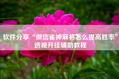 软件分享“微信雀神麻将怎么提高胜率”透视开挂辅助教程