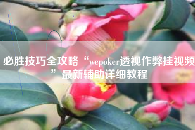必胜技巧全攻略“wepoker透视作弊挂视频”最新辅助详细教程