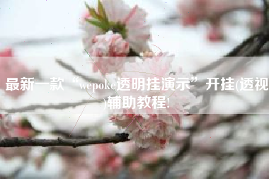 最新一款“wepoke透明挂演示	”开挂(透视)辅助教程!