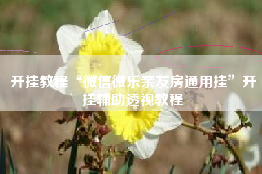 开挂教程“微信微乐亲友房通用挂”开挂辅助透视教程