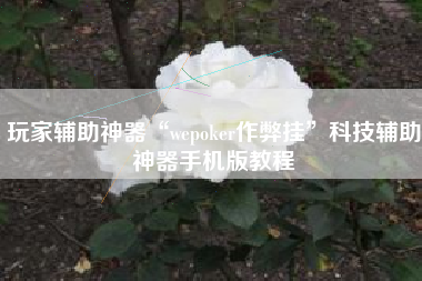 玩家辅助神器“wepoker作弊挂”科技辅助神器手机版教程