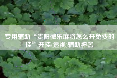 专用辅助“贵阳微乐麻将怎么开免费的挂”开挂(透视)辅助神器
