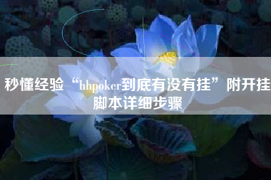 秒懂经验“hhpoker到底有没有挂	”附开挂脚本详细步骤