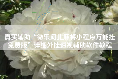 真实辅助“微乐河北麻将小程序万能挂免费版	”详细外挂透视辅助软件教程