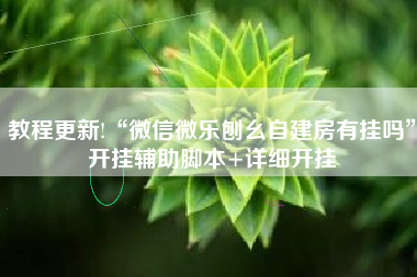 教程更新!“微信微乐刨幺自建房有挂吗”开挂辅助脚本+详细开挂