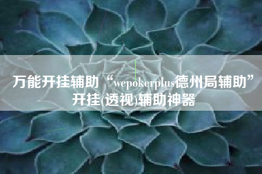 万能开挂辅助“wepokerplus德州局辅助”开挂(透视)辅助神器