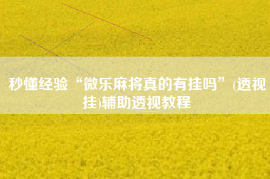 秒懂经验“微乐麻将真的有挂吗”(透视挂)辅助透视教程