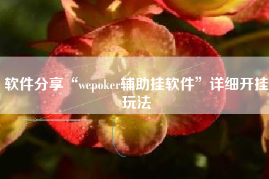 软件分享“wepoker辅助挂软件”详细开挂玩法