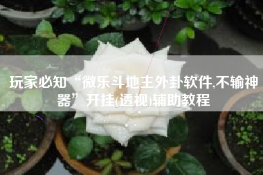 玩家必知“微乐斗地主外卦软件,不输神器	”开挂(透视)辅助教程