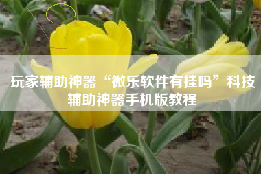 玩家辅助神器“微乐软件有挂吗”科技辅助神器手机版教程