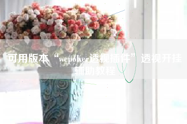 可用版本“wepoKer透视插件	”透视开挂辅助教程