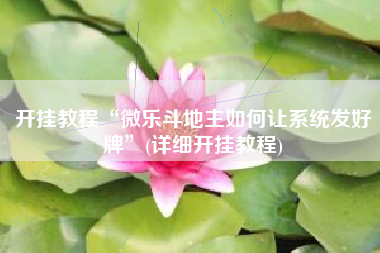 开挂教程“微乐斗地主如何让系统发好牌”(详细开挂教程)