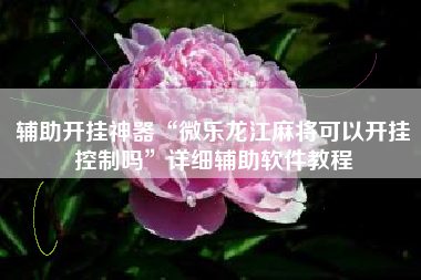 辅助开挂神器“微乐龙江麻将可以开挂控制吗	”详细辅助软件教程