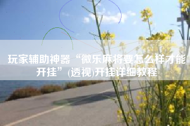 玩家辅助神器“微乐麻将要怎么样才能开挂”(透视)开挂详细教程