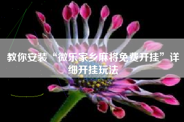 教你安装“微乐家乡麻将免费开挂”详细开挂玩法