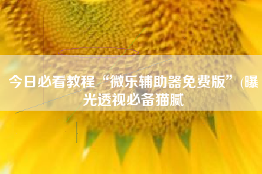 今日必看教程“微乐辅助器免费版	”(曝光透视必备猫腻