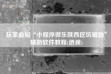 玩家必知“小程序微乐陕西挖坑辅助”辅助软件教程(透视)