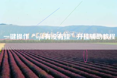 一键操作“wpk有没有挂”开挂辅助教程
