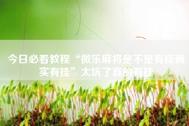 今日必看教程“微乐麻将是不是有挂确实有挂”太坑了真的有挂