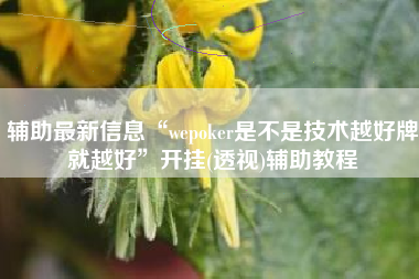 辅助最新信息“wepoker是不是技术越好牌就越好”开挂(透视)辅助教程