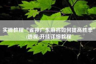实操教程“雀神广东麻将如何提高胜率”(透视)开挂详细教程
