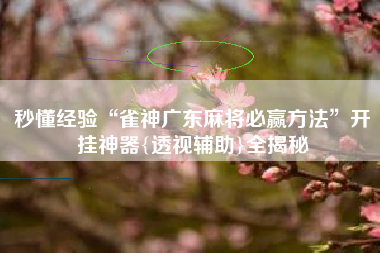秒懂经验“雀神广东麻将必赢方法”开挂神器{透视辅助}全揭秘