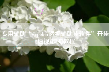 专用辅助“wepoker透视辅助挂软件”开挂(透视)辅助教程