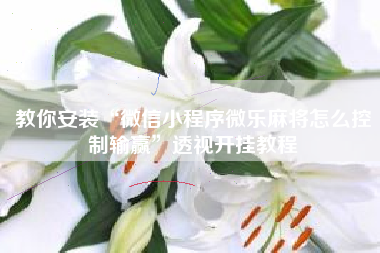 教你安装“微信小程序微乐麻将怎么控制输赢”透视开挂教程