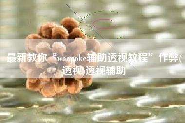 最新教你“waapoke辅助透视教程”作弊(透视)透视辅助