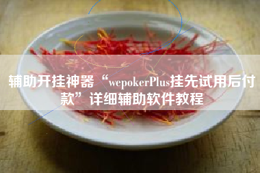 辅助开挂神器“wepokerPlus挂先试用后付款”详细辅助软件教程