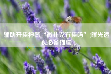 辅助开挂神器“微扑克有挂吗	”(曝光透视必备猫腻