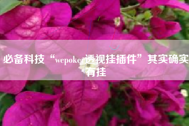 必备科技“wepoker透视挂插件”其实确实有挂