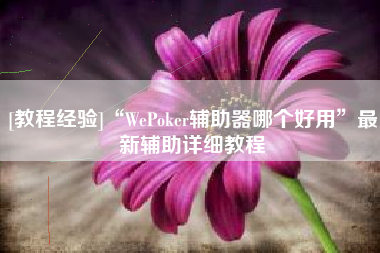 [教程经验]“WePoker辅助器哪个好用	”最新辅助详细教程