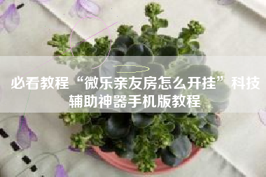 必看教程“微乐亲友房怎么开挂	”科技辅助神器手机版教程